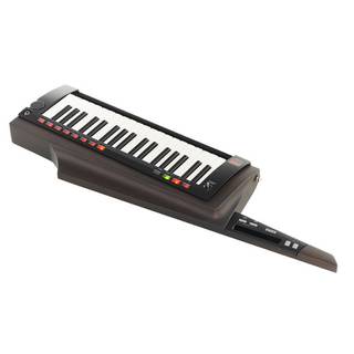 Korg RK-100S 2 Black keytar