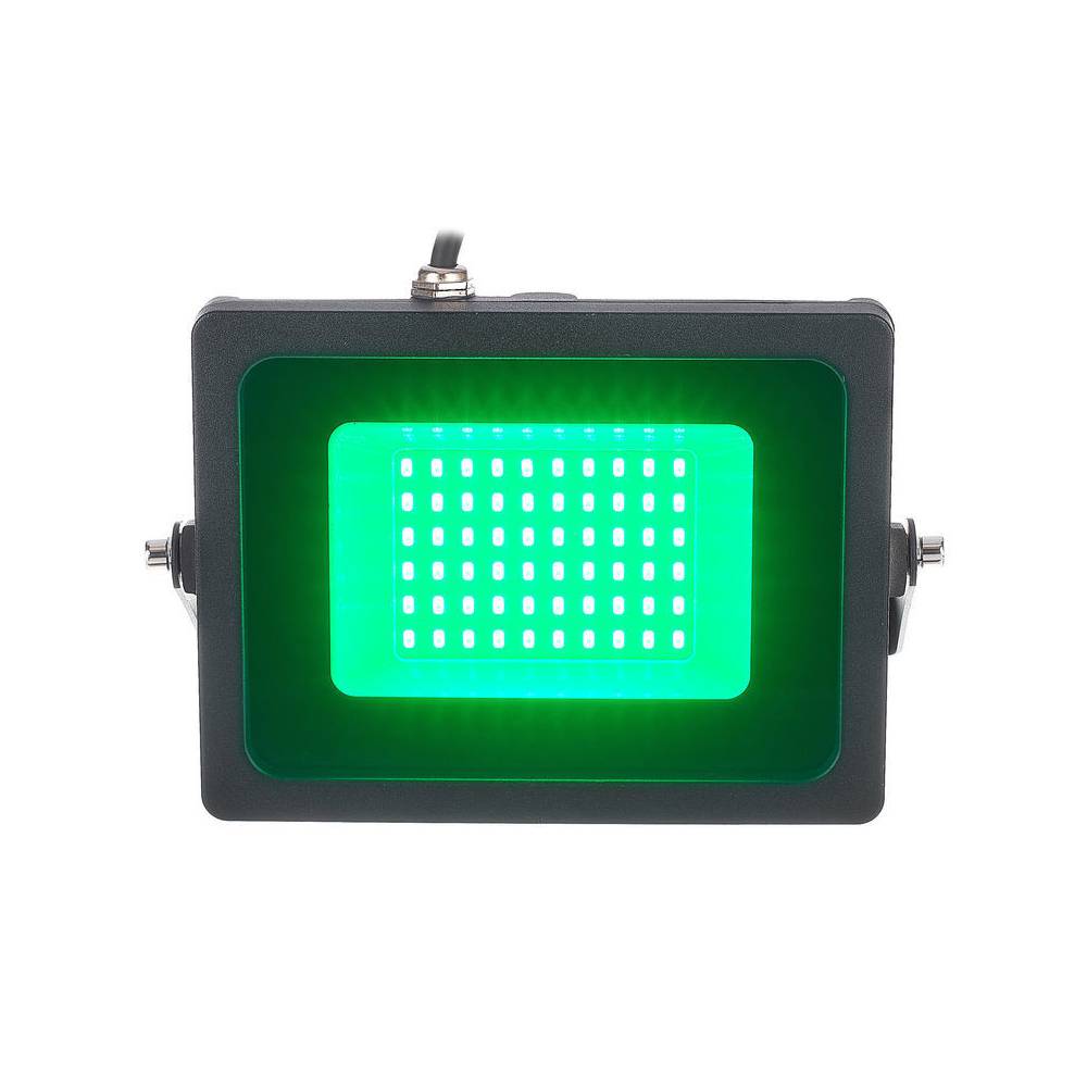Eurolite LED IP FL-30 SMD outdoor lamp groen