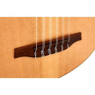 GODIN Multi Oud Encore Nylon Natural SG Fretless 11 string 