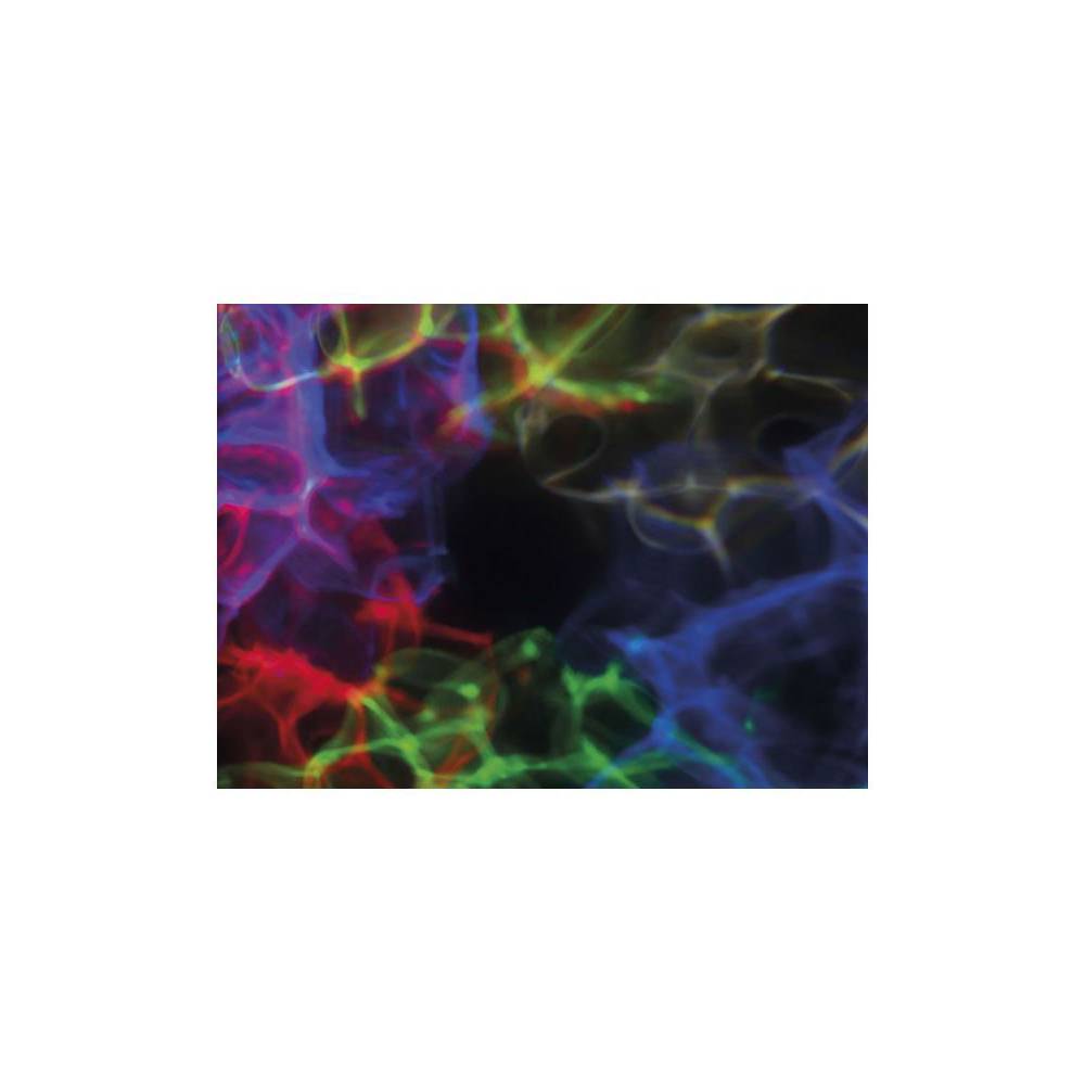 Showtec Dreamwave LED lichteffect