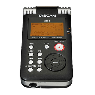 Tascam DR-1