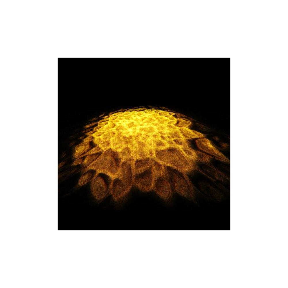 Cameo Scuba LED DMX watereffect