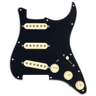 Fender Pre-Wired Strat PG Custom Shop Texas Special SSS Black