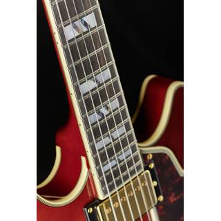 D'Angelico Excel Mini DC Viola semi-akoestische gitaar met koffer