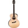Cort Cut Craft Natural Gloss Limited Edition multiscale met L.R. Baggs M80 en koffer