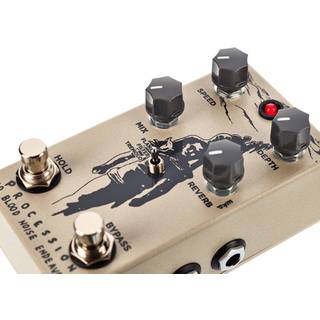 Old Blood Noise Endeavors Procession Sci Fi Reverb Pedal