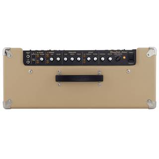 Roland Blues Cube Artist