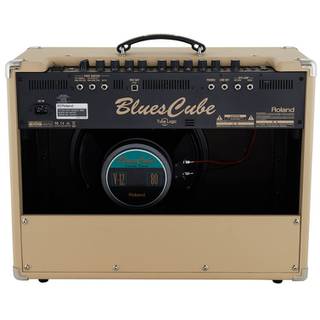 Roland Blues Cube Artist