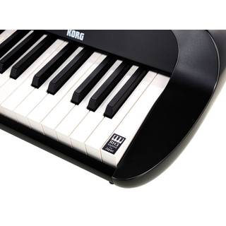 Korg SV2 88 stage piano