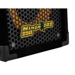 Markbass Ninja 102-250 Richard Bona basversterker combo 250W
