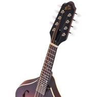 The Loar LM-110-BRB A-stijl mandoline burst