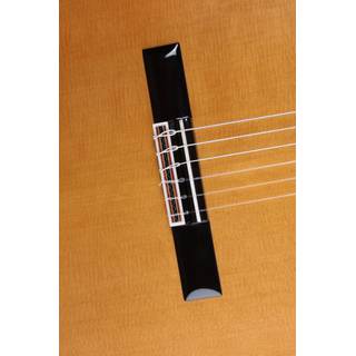 ALHAMBRA Luthier Ziricote   case - 826