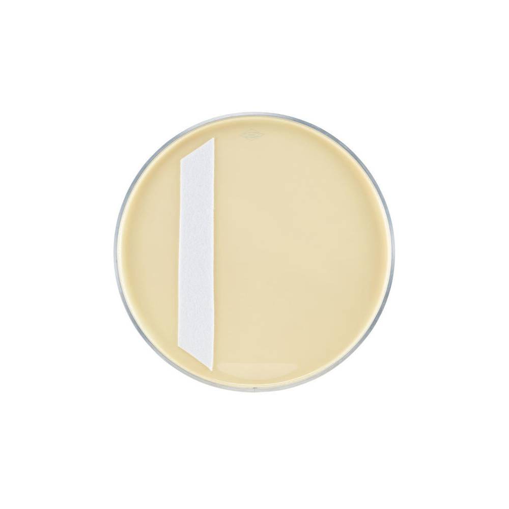 Aquarian 22 inch Modern Vintage Kick bassdrumvel