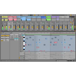 Ableton Live 11 Suite (download)