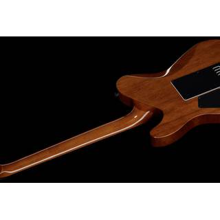 ESP LTD Deluxe TE-1000 EverTune Koa elektrische gitaar