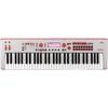 Korg KROSS 2 61-GR SE Special Edition Gray-Red synthesizer