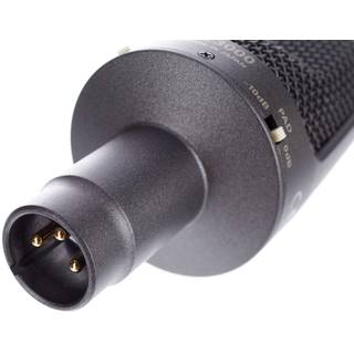 Audio Technica AE3000 condensator instrumentmicrofoon