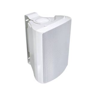 Visaton WB 16 White 6.25 inch fullrange speaker 100V/8 Ohm 90W