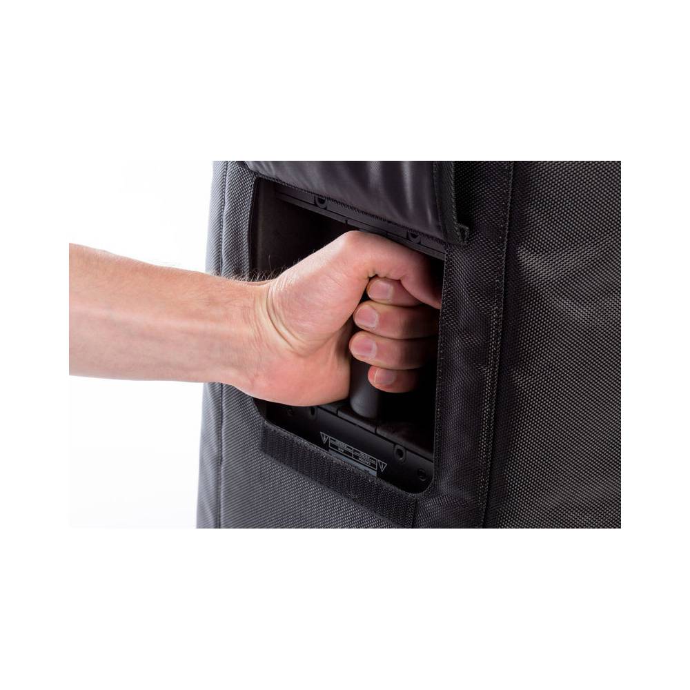 Bose F1 Subwoofer Travel Bag