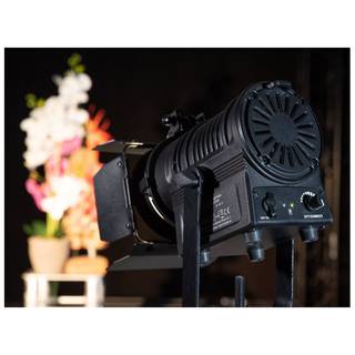 Eurolite AKKU THA-20PC theater spot