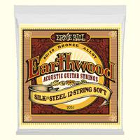 Ernie Ball 2051 Earthwood Silk And Steel 12-String Soft