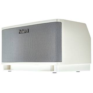 Roland Cube Lite Monitor instrumentversterker met iOS interface