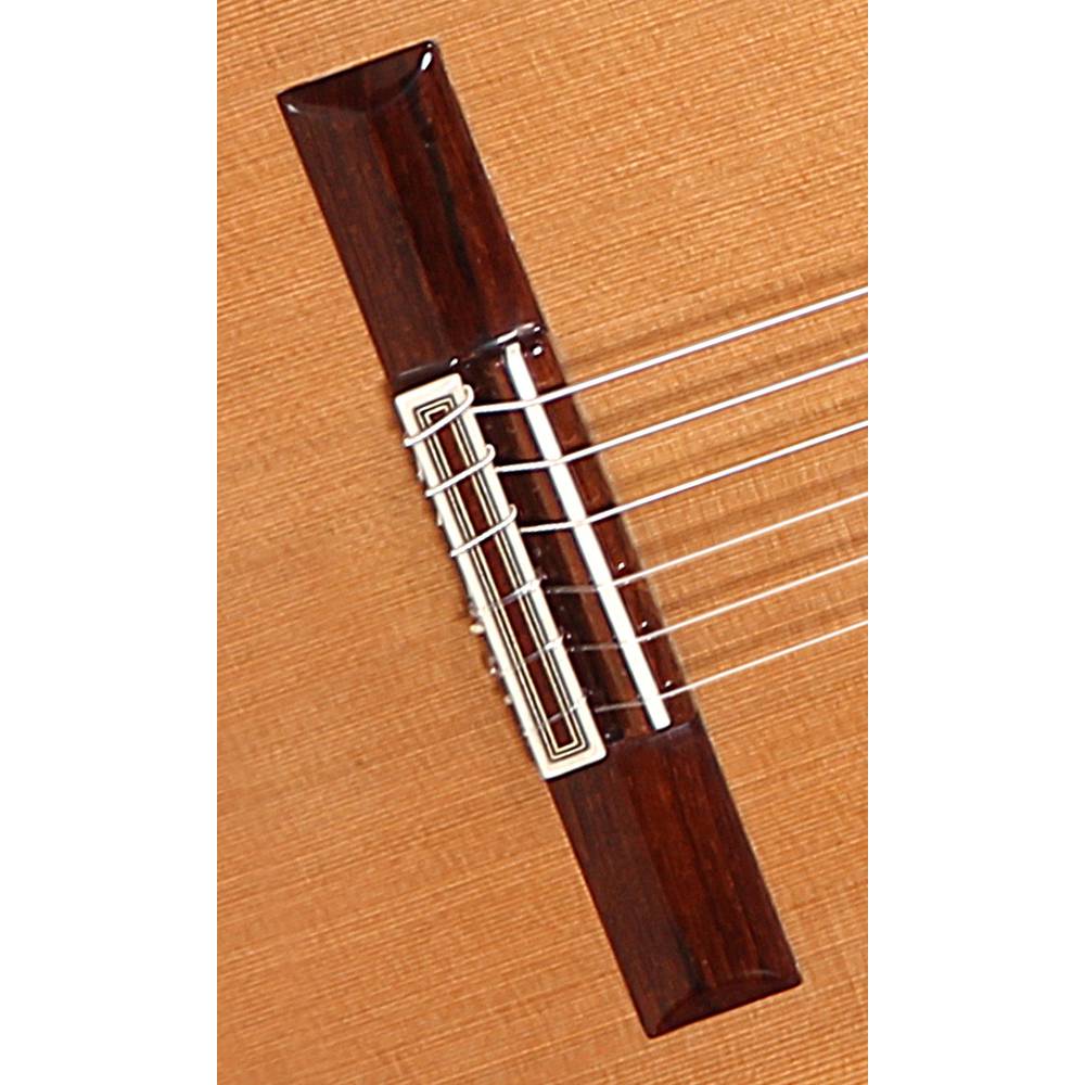 ALHAMBRA Premier Pro Exotico   case - 7628