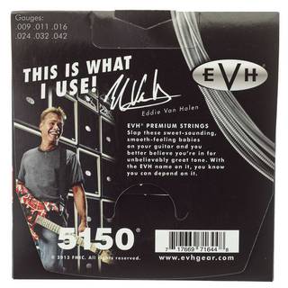 EVH Premium Strings 9 - 42 snarenset voor elektrische gitaar