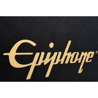 Epiphone Flying V Hard Case Black gitaarkoffer