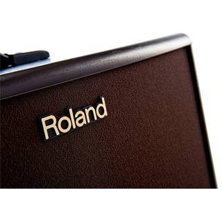 Roland AC-60 Rosewood