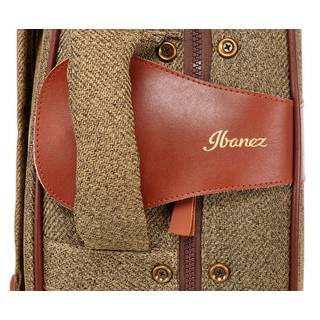 Ibanez Foamed FS40CL case voor Ibanez AEG, AVN, PN, G tweed