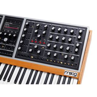 Moog ONE Polyphonic 8 Voice