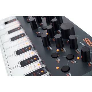 Modal Electronics SKULPTsynth SE 4 voice virtual-analogue synthesizer