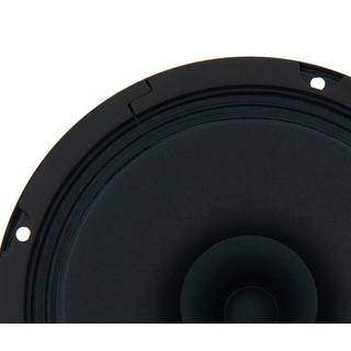 Visaton BG 17 6.5 inch fullrange speaker 60W 8 Ohm