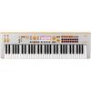 Korg KROSS 2 61-GO SE Special Edition Gray-Orange synthesizer