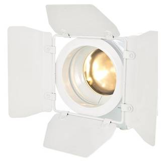 Cameo TS 40 WW WH LED theater spotlight