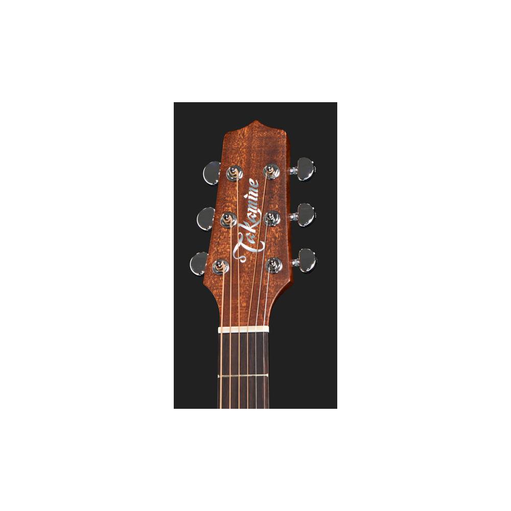 Takamine P1DC Dreadnought Cutaway