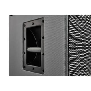 Darkglass DG-212N Neodymium 2x12 inch basgitaar speakerkast