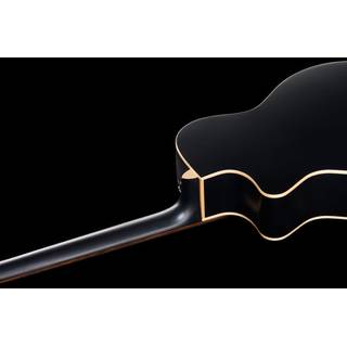 Fender Newporter Special Matte Black met gigbag