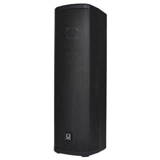 Turbosound iP300 actieve columnspeakers 600W