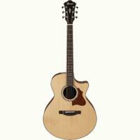 Ibanez AE519 Natural High Gloss met koffer