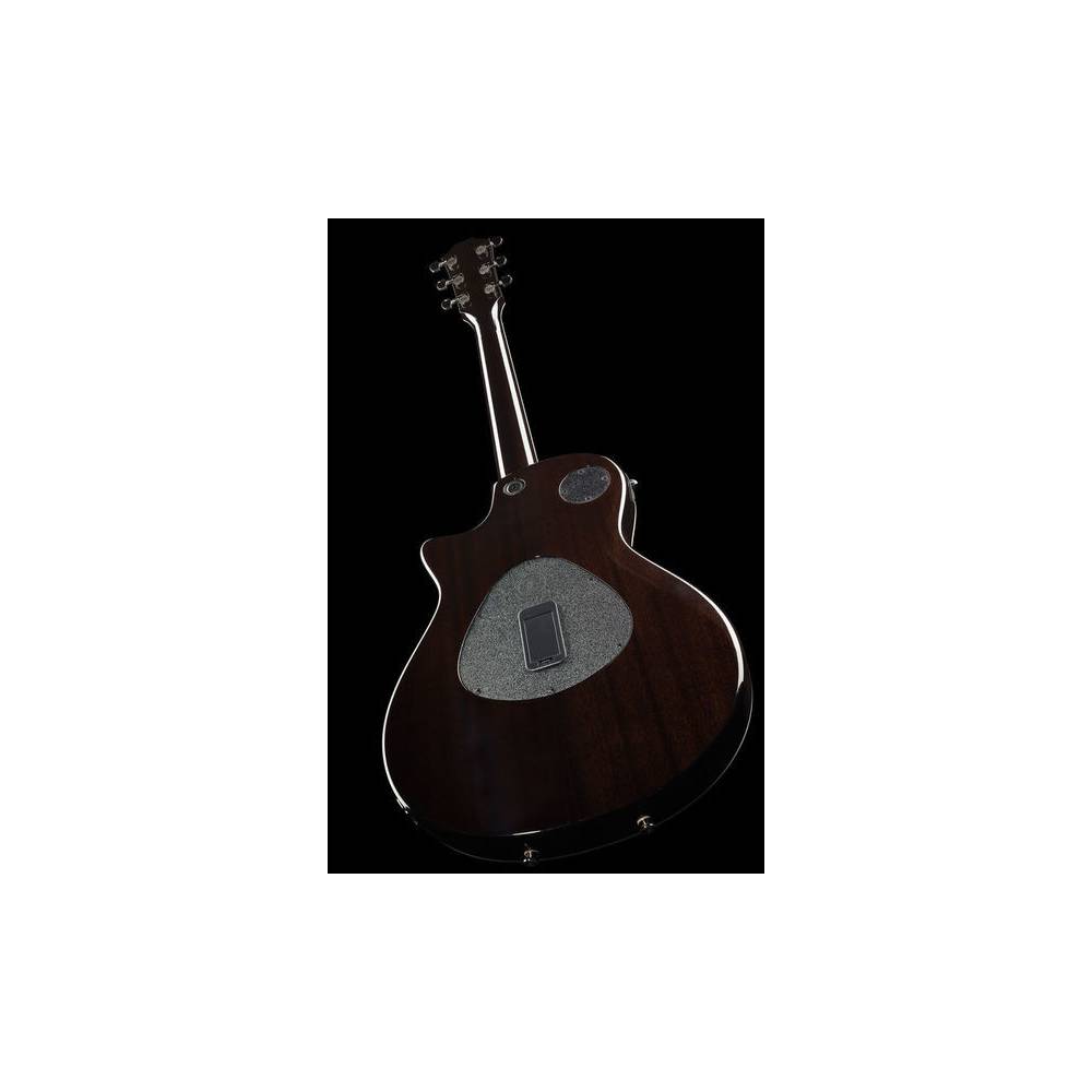 Taylor T5z Pro Gaslamp Black