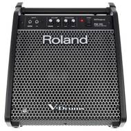 Roland PM-100 drummonitor voor V-Drums 80W