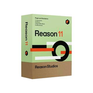 Reason 11 (boxed)