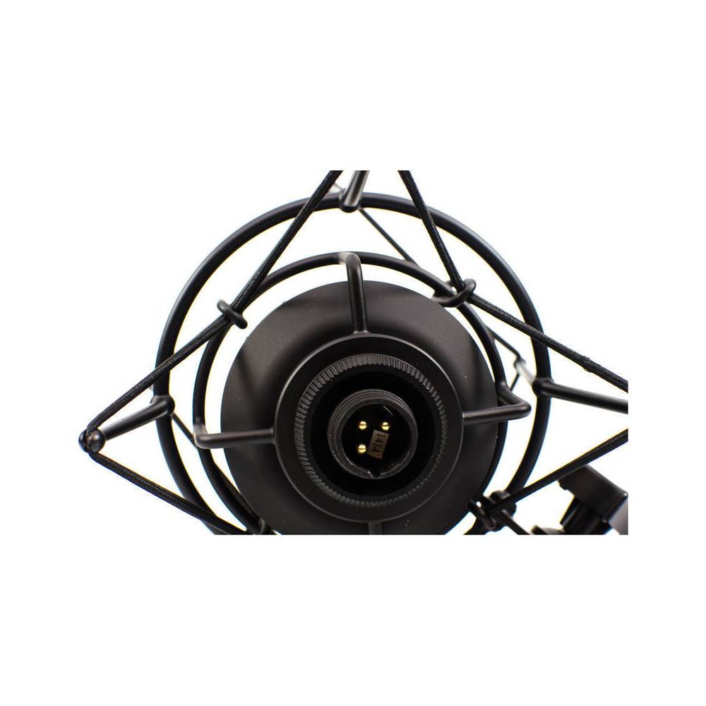 CAD Audio Equitek E300s grootmembraan condensatormicrofoon