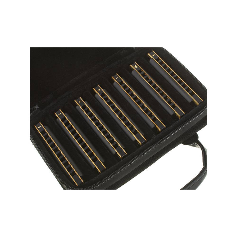 Fender Blues DeVille mondharmonicaset