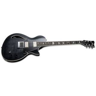 ESP LTD BW-1 Evertune See Thru Black Ben Weinman Signature elektrische gitaar met koffer