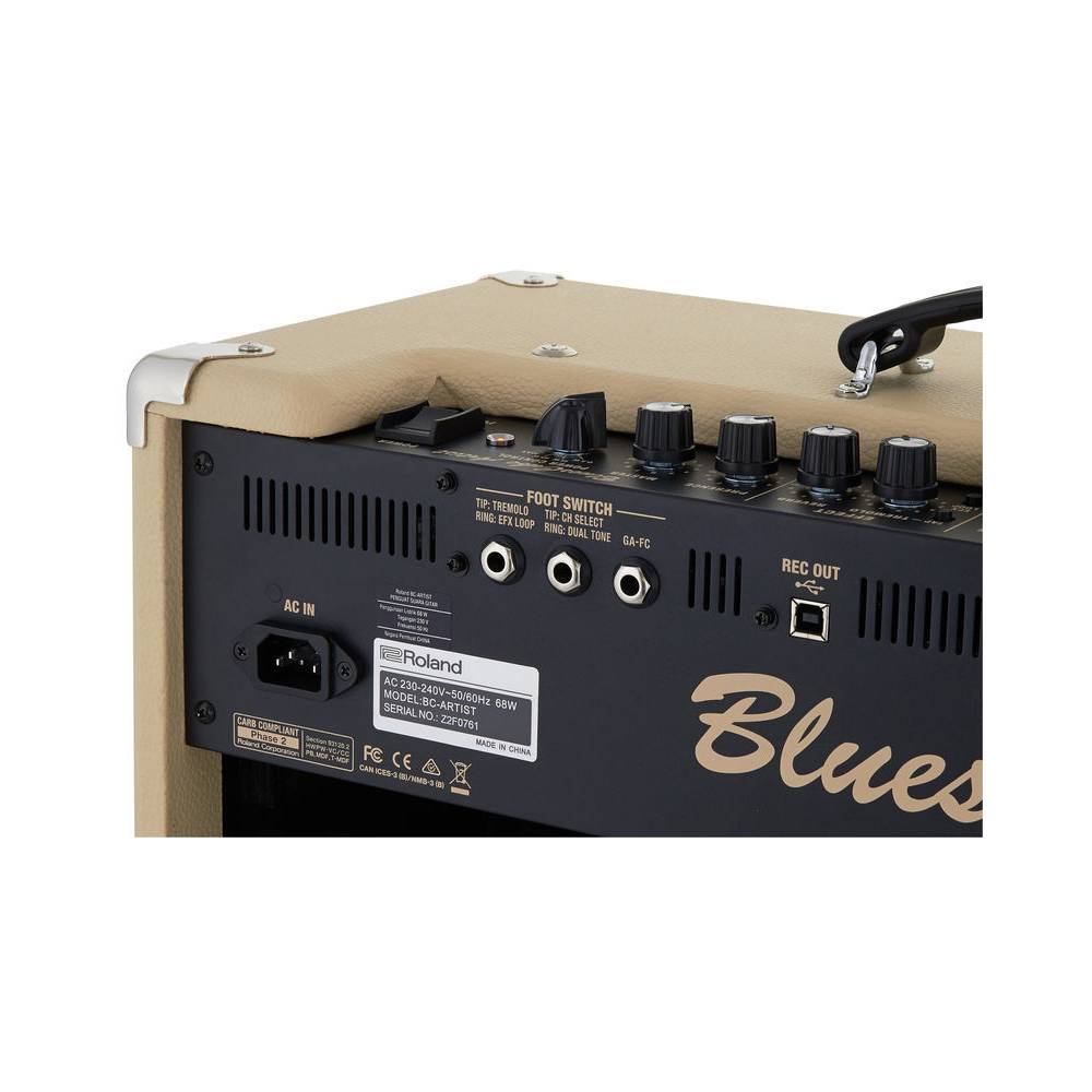 Roland Blues Cube Artist