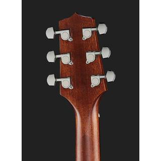 Takamine GD20CE-NS E/A westerngitaar ceder top natural satin