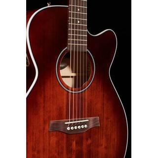 SEAGULL Performer CW CH Burnt Umber QIT